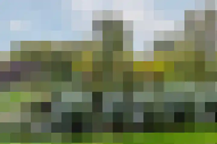 Octant 16 Dordrecht thumbnail 12