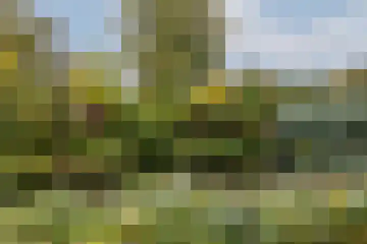 Octant 16 Dordrecht thumbnail 14