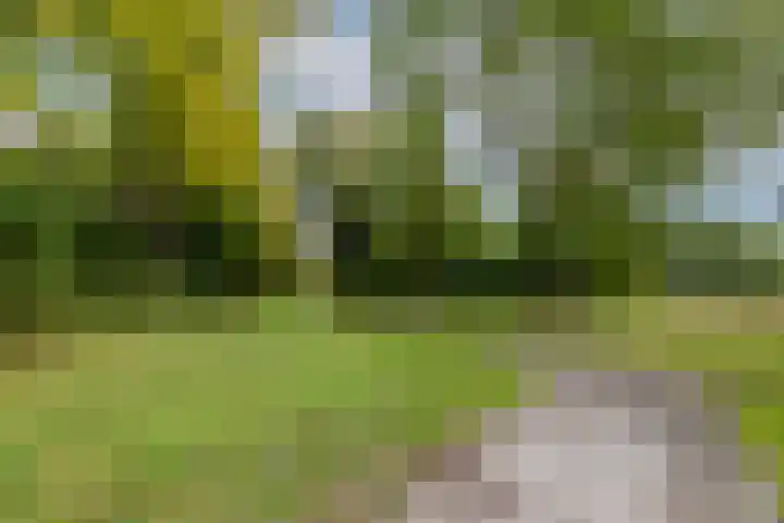 Octant 16 Dordrecht thumbnail 15