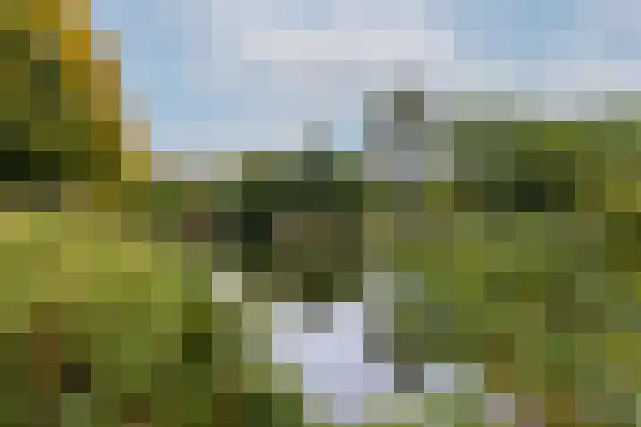 Octant 16 Dordrecht thumbnail 16