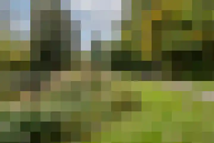 Octant 16 Dordrecht thumbnail 17