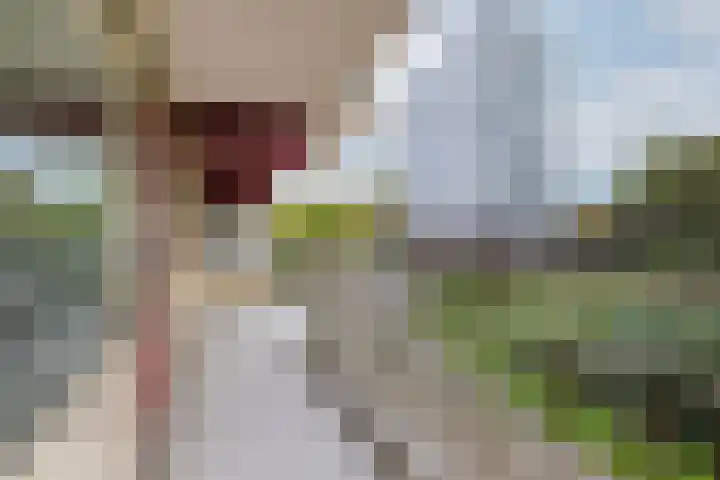 Octant 16 Dordrecht thumbnail 9