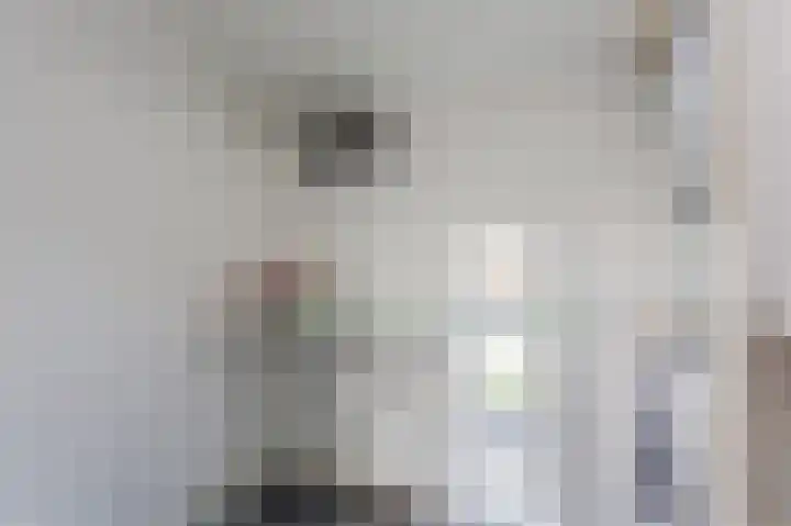 Octant 24 Almere thumbnail 33