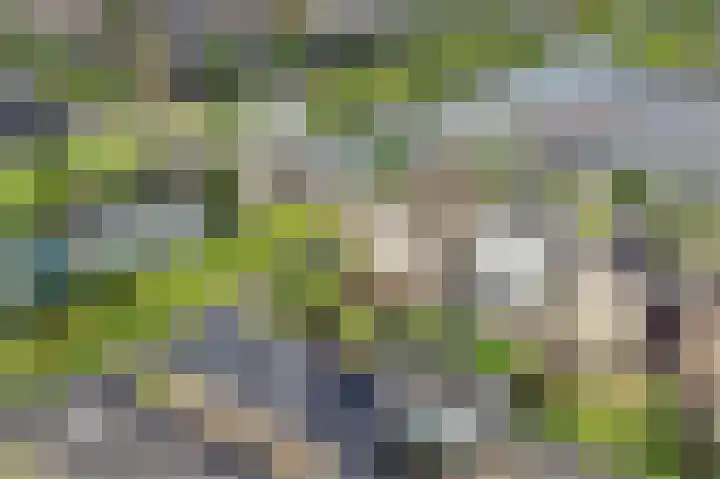 Octant 24 Almere thumbnail 49