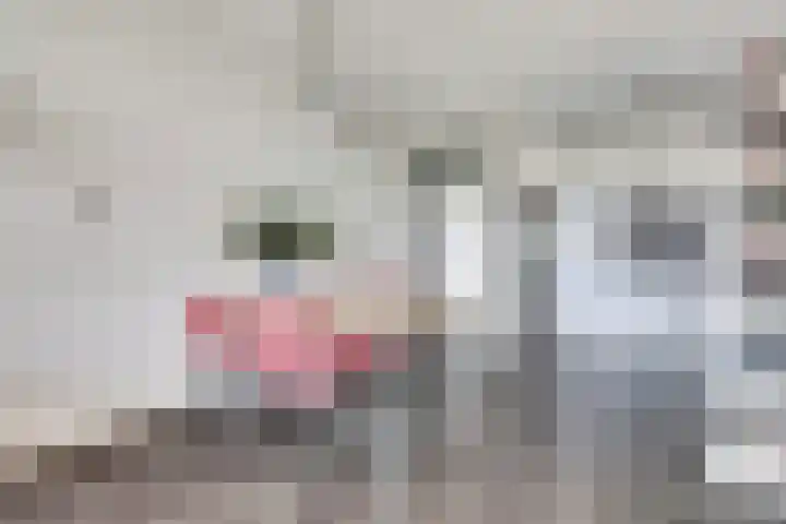Octant 71 Dordrecht thumbnail 17
