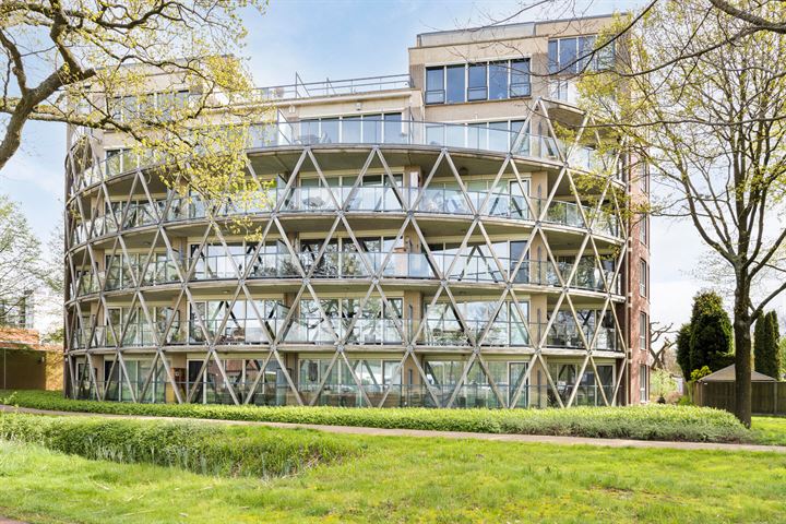 Octogoon 29 in Boxtel foto