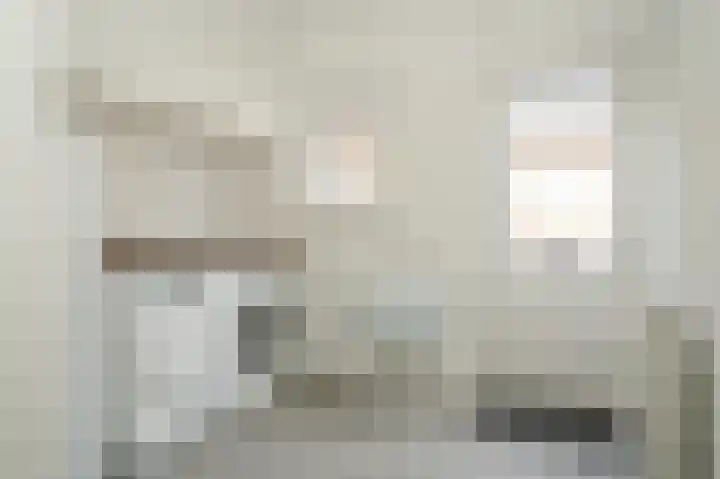 Octopusstraat 3 Horssen thumbnail 14