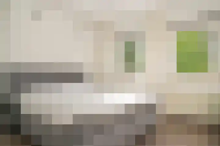 Octopusstraat 3 Horssen thumbnail 16