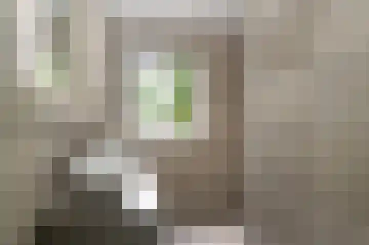 Octopusstraat 3 Horssen thumbnail 24