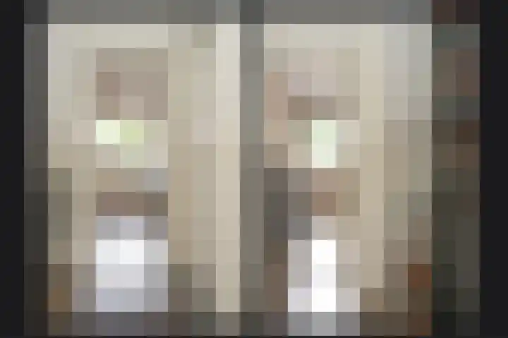 Octopusstraat 3 Horssen thumbnail 27