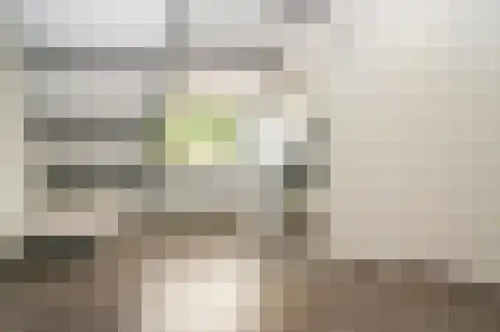 Octopusstraat 3 Horssen thumbnail 28