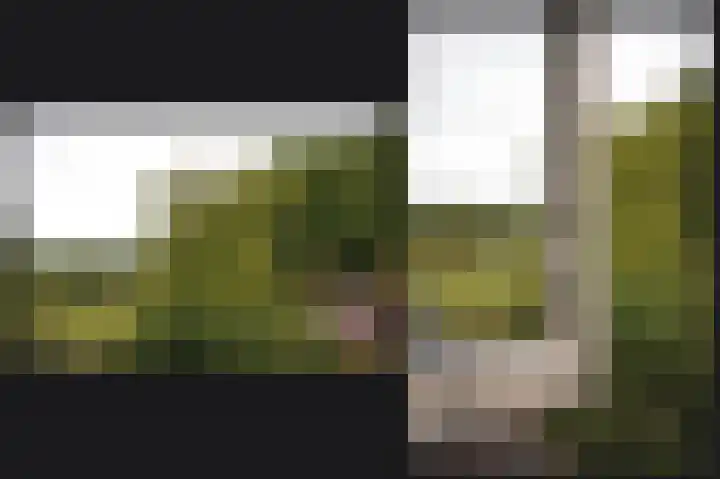 Octopusstraat 3 Horssen thumbnail 29