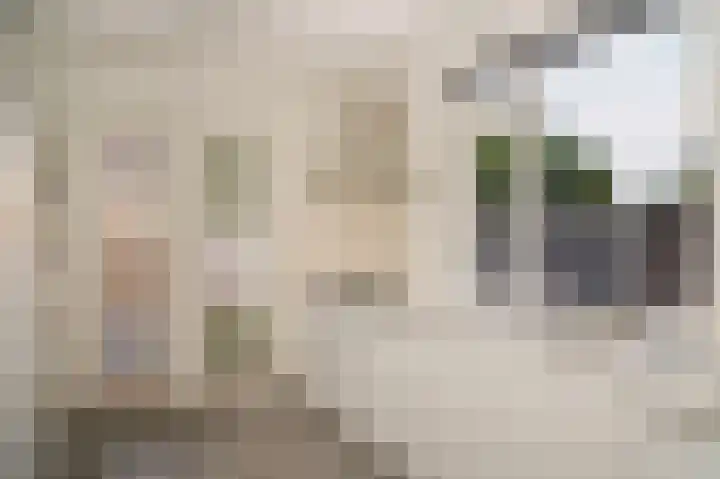 Octopusstraat 3 Horssen thumbnail 4