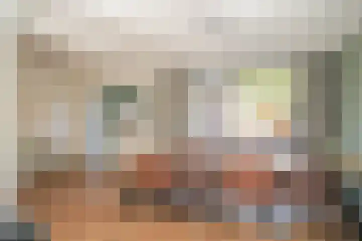 Octopusstraat 3 Horssen thumbnail 8