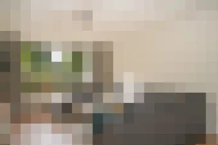 Octopusstraat 3 Horssen thumbnail 9