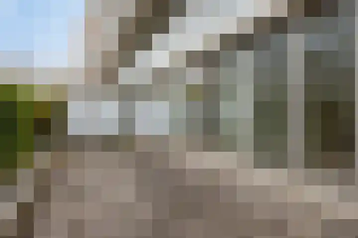 Odasingel 423 Sittard thumbnail 19