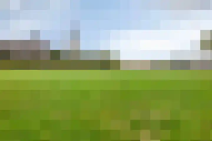 Odasingel 423 Sittard thumbnail 29