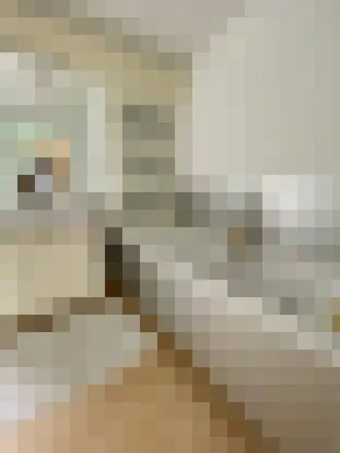 Oder 20 Doetinchem thumbnail 10