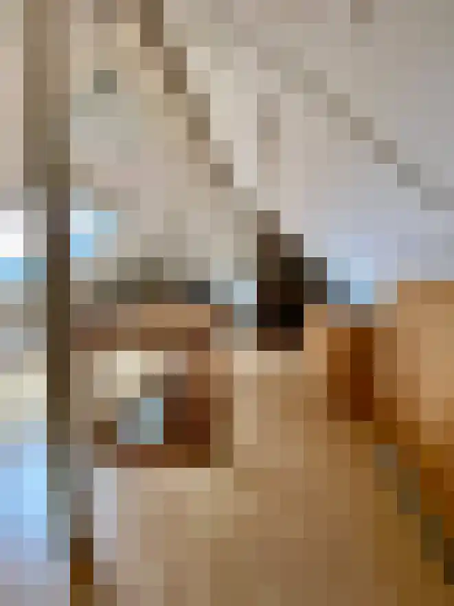 Oder 20 Doetinchem thumbnail 12