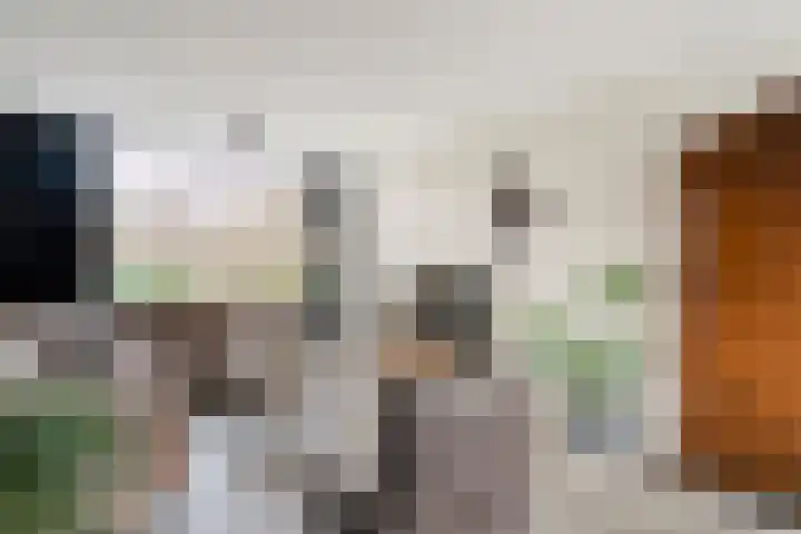 Oderstraat 8 Assen thumbnail 10