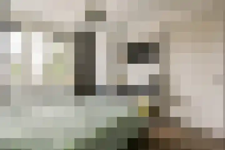 Oderstraat 8 Assen thumbnail 23