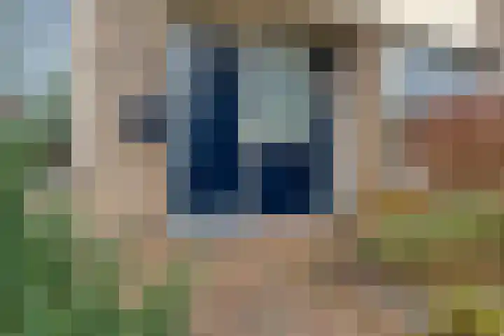 Oderstraat 8 Assen thumbnail 5