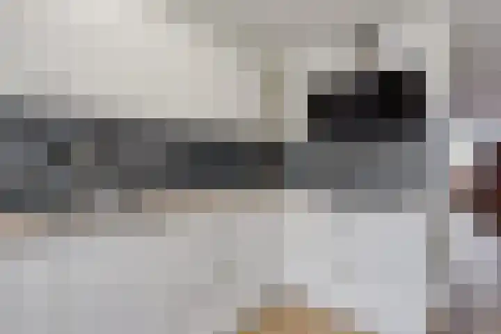 Odiliastraat 6 Uden thumbnail 18