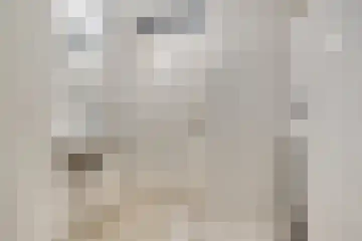 Odiliastraat 6 Uden thumbnail 23