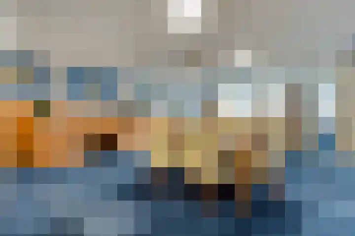 Odiliastraat 6 Uden thumbnail 29