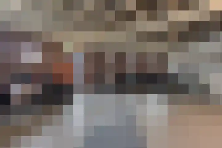 Odiliastraat 6 Uden thumbnail 30