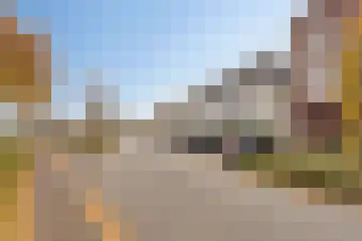 Odiliastraat 6 Uden thumbnail 5