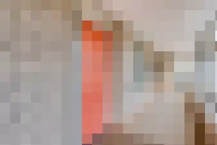Odiliastraat 6 Uden thumbnail 8