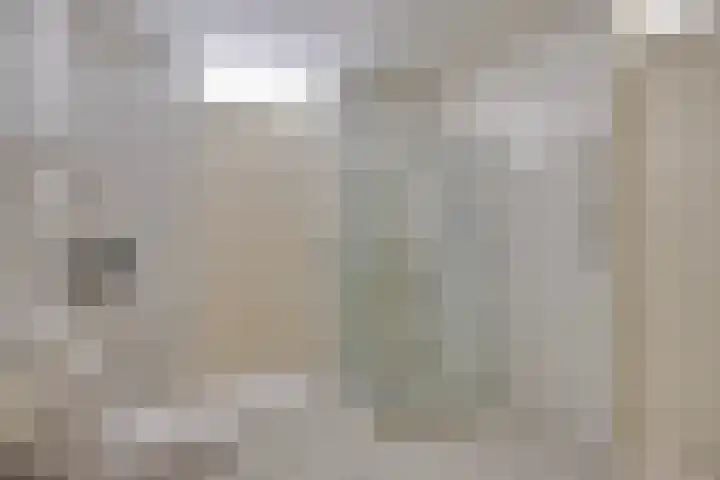 Odiliastraat 78 Uden thumbnail 20