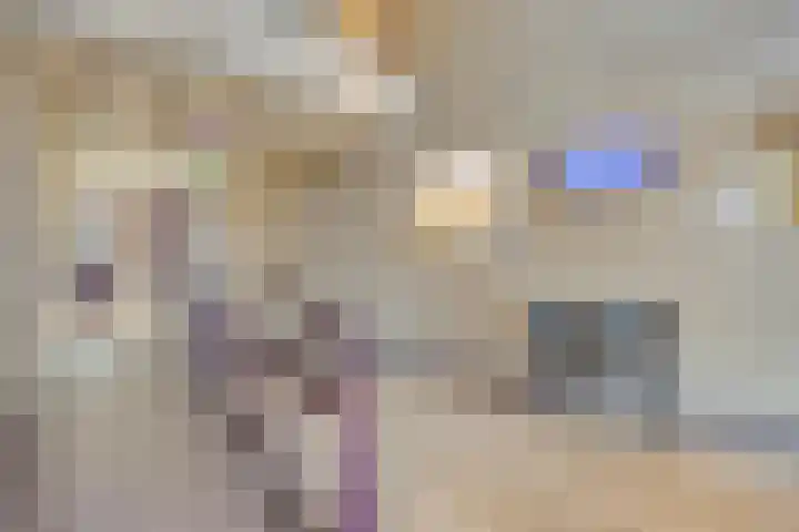 Odiliastraat 78 Uden thumbnail 28