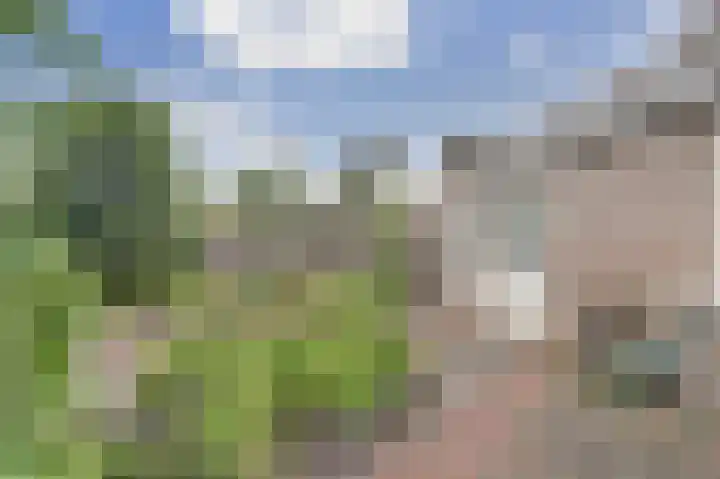 Odinstraat 1 Kapelle thumbnail 32