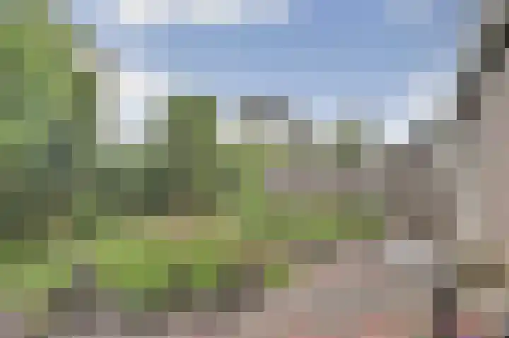 Odinstraat 1 Kapelle thumbnail 33
