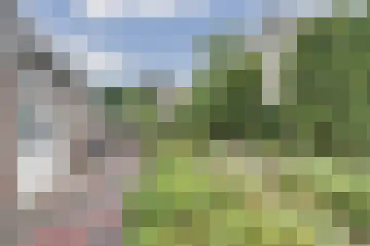 Odinstraat 1 Kapelle thumbnail 35