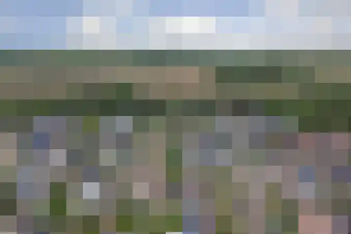 Odinstraat 1 Kapelle thumbnail 36