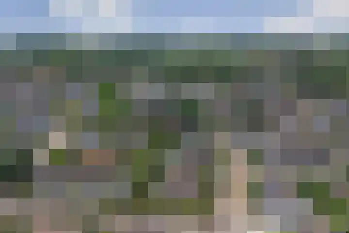 Odinstraat 1 Kapelle thumbnail 37