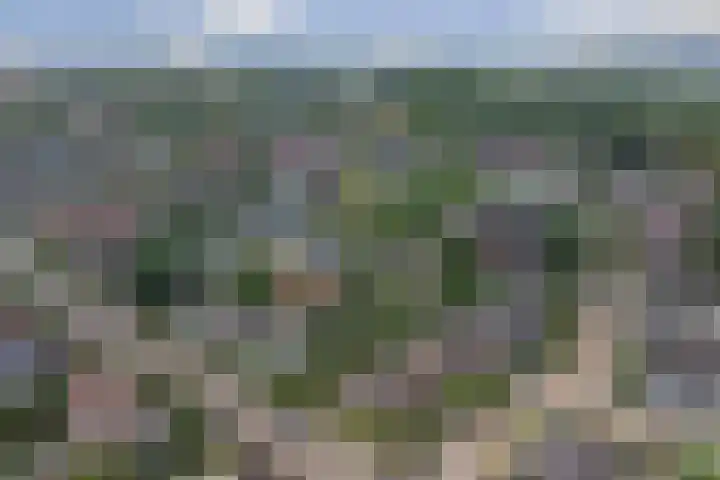 Odinstraat 1 Kapelle thumbnail 38