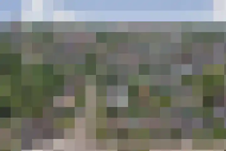 Odinstraat 1 Kapelle thumbnail 39