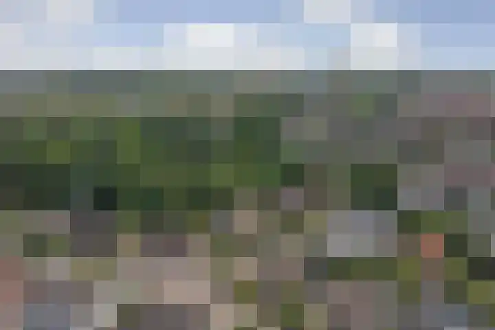 Odinstraat 1 Kapelle thumbnail 40