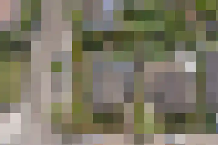 Odinstraat 1 Kapelle thumbnail 41