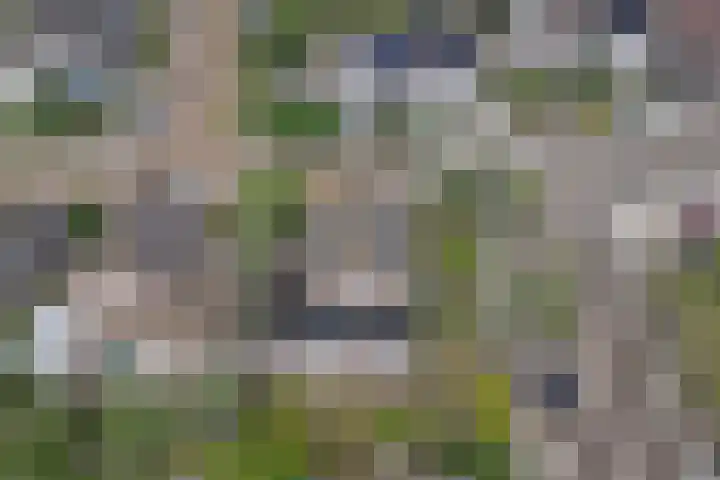 Odinstraat 1 Kapelle thumbnail 42
