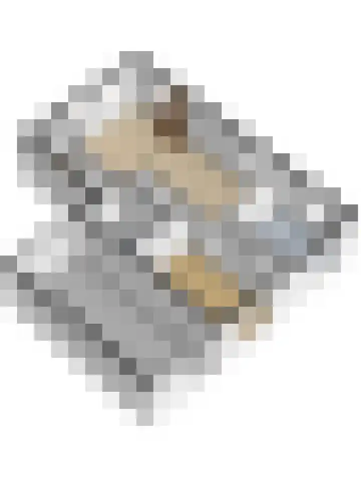Odinstraat 1 Kapelle thumbnail 46