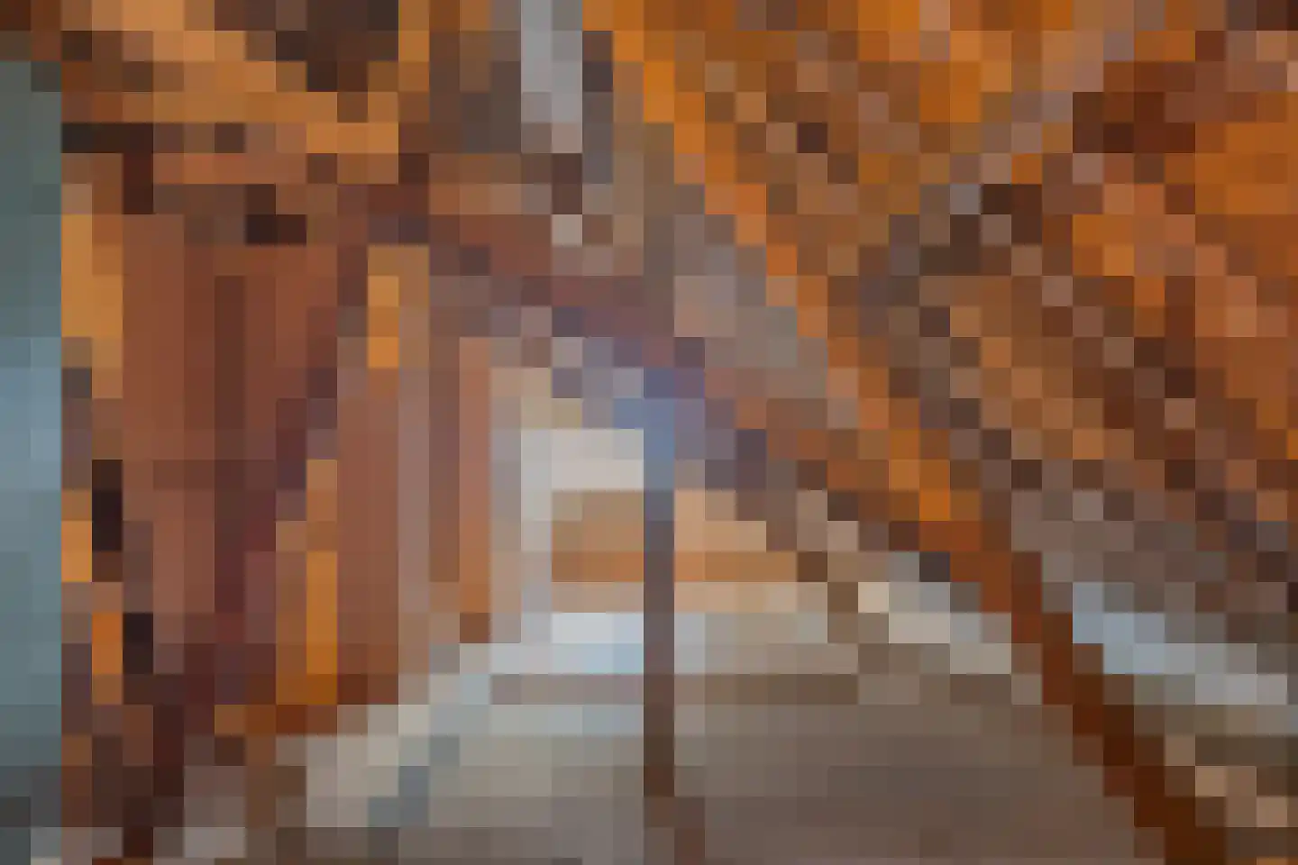 Odoornerweg 2 Valthe thumbnail 36