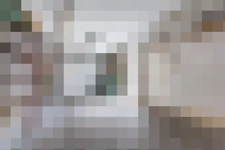 Odradastraat 65 Eersel thumbnail 44