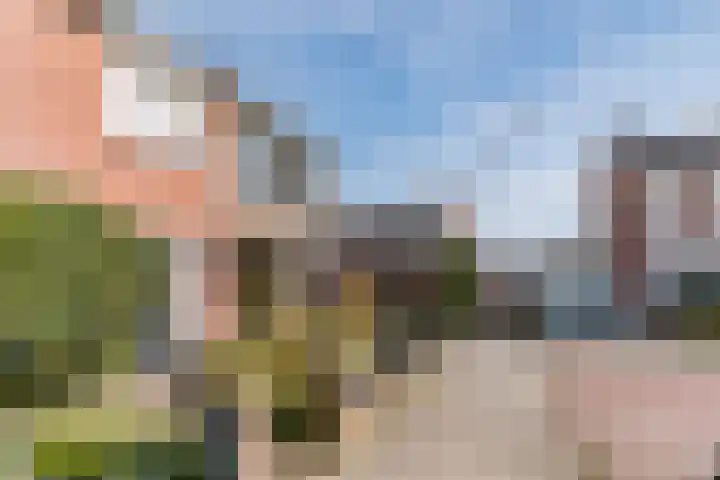 Odradastraat 65 Eersel thumbnail 5