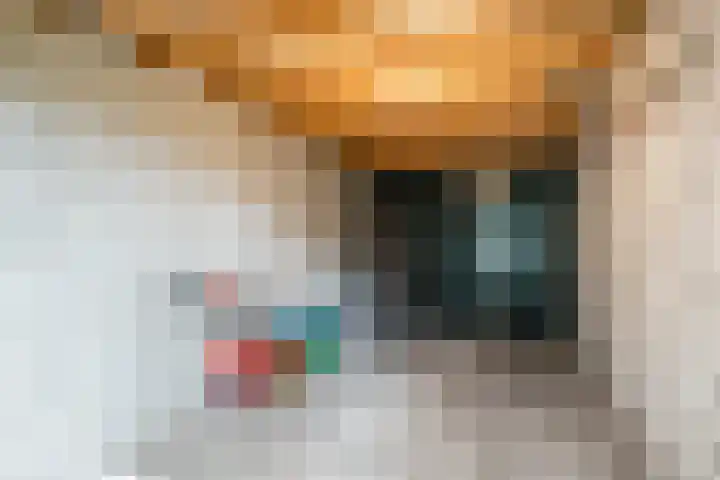 Odradastraat 72 Eersel thumbnail 32