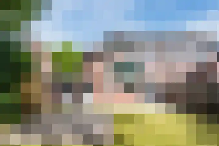 Odradastraat 72 Eersel thumbnail 34